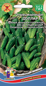 Огурец_Доллар F1 (корнишон)_10_шт._Уральский Дачник
