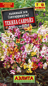 Львиный зев (антирринум)_Текила Санрайз см_0,1_г._Аэлита