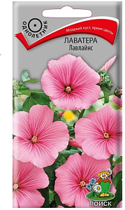 Лаватера (хатьма)_Лавлайнс_0,3_г._Поиск
