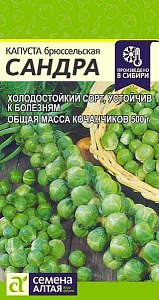 Капуста_брюссельская_Сандра_0,5_г._Семена Алтая