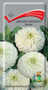 Цинния_Лилипут Белая_0,4_г._Поиск