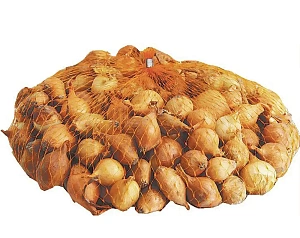 Лук-севок Стурон Россия  ( средний ) фасовка 1 кг