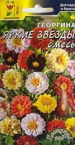 Георгин_Яркие Звезды см_0,04_г._Цветущий Сад
