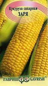 Кукуруза_Заря_5_г._Гавриш
