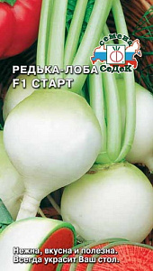 Редька_Лоба Старт F1_1_г._Седек