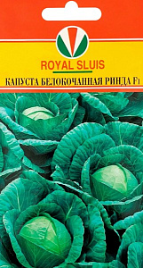 Капуста_б/к_Ринда F1 (ср)_20_шт._Акварель