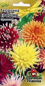 Георгин_Кактусовая см Ерошка_0,2_г._Гавриш