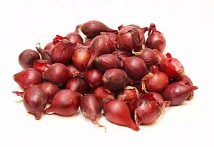 Лук-севок Кармен Россия  ( средний )