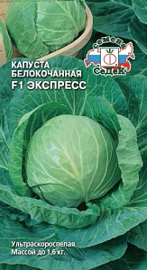 Капуста_б/к_Экспресс F1 (у/ск)_0,3_г._Седек