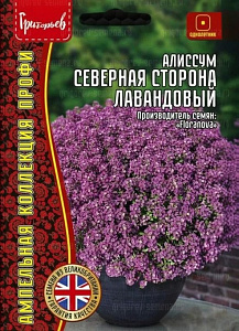 Алиссум (лобулярия)_Северная Сторона Лавандовый (амп) б/ф_10_шт._Григорьев