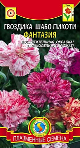 Гвоздика_Фантазия (шабо пикоти)_0,04_г._Плазменные семена