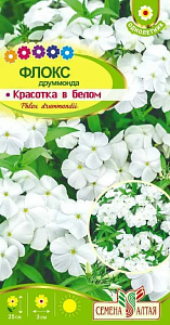 Флокс_Белое Море_0,1_г._Семена Алтая