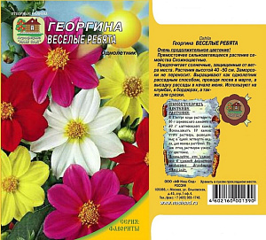 Георгин_Веселые ребята см_0,5_г._Наш Сад