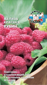 Малина_Красная Рубин_0,1_г._Седек