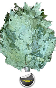 Веник КАНАДСКИЙ дуб Премиум +ручка джут ( в упаковке )