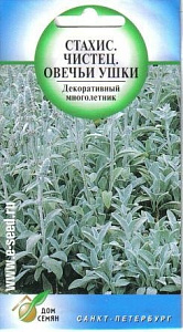 Стахис (чистец)_Овечьи ушки_50_шт._Дом Семян С-П