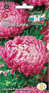 Астра_Седая Дама (пионовидная, малин-розов с проседью на кончиках)_0,2_г._Седек