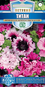 Глоксиния_Импресс Красные чернила_5_шт._Поиск