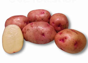 Жуковский ранний репродукция ( сетка 2кг ) кг