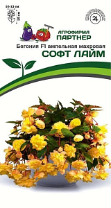 Бегония_Софт Лайм F1 (амп махр клубн)_5_шт._Партнер