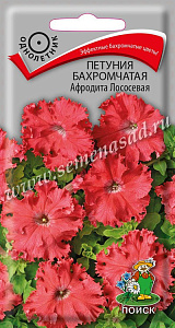 Петуния_Афродита F1 Лососевая (бахромчатая)_10_шт._Поиск