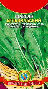 Щавель_Бельвильский_0,04_г._Плазменные семена