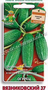 Огурец_Вязниковский_15_шт._Поиск