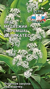 Лук_Медвежий Деликатес черемша (многолетний)_0,04_г._Седек