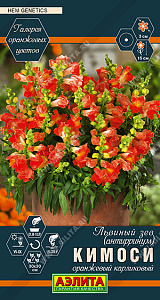 Львиный зев (антирринум)_Кимоси Оранжевый карликовый (Галерея оранжевых цветов)_0,1_г._Аэлита