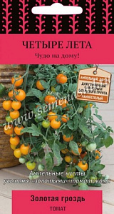 Томат_Золотая гроздь (Четыре лета)_5_шт._Поиск