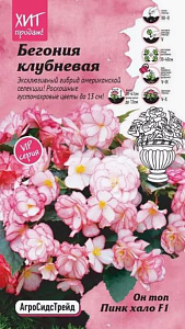Бегония_Он Топ F1 Пинк Хало (клубн)_0,04_шт._АгроСидсТрейд