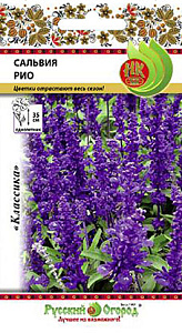 Сальвия_Рио (мучнистая)_20_шт._НК
