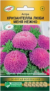 Астра_Хризантелла Люби меня Нежно (Золотая Коллекция)_5_шт._Евросемена