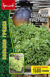 Салат_Кучерявец Одесский (п/кочан) б/ф_2_г._Григорьев