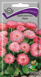 Маргаритка_Мария_0,1_г._Поиск