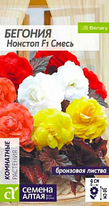 Бегония_Нонстоп Мокка см (клубн)_0,04_шт._Поиск