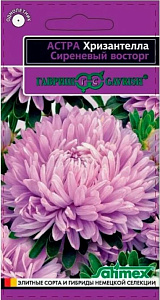 Астра_Хризантелла Сиреневый Восторг_0,05_г._Гавриш