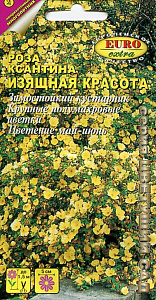 Роза_Изящная красота (ксантина)_0,1_г._Аэлита Э