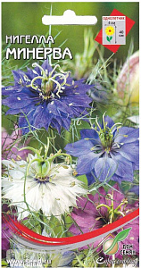 Нигелла_Минерва см_70_шт._Дом Семян С-П