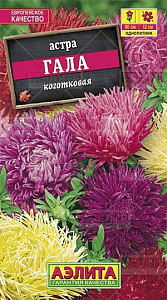 Астра_Гала см (шаровидно-игольчатая)_0,1_г._Аэлита