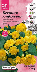 Бегония_Сан дансер Еллоу (клубневая)_0,04_шт._АгроСидсТрейд