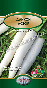 Дайкон_Астор_1_г._Поиск