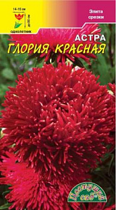 Астра_Глория красная (хризантемовидная)_0,2_г._Цветущий Сад