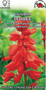 Сальвия_Огонек_0,1_г._Золотая Сотка Алтая