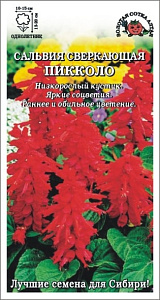 Сальвия_Пикколо_0,1_г._Золотая Сотка Алтая