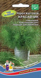 Укроп_Красавчик_2_г._Уральский Дачник