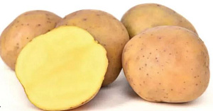 Прайм (сетка 5 кг) кг