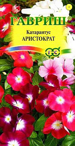 Катарантус (барвинок)_Аристократ см_0_г._Гавриш