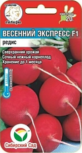 Редис_Весенний экспресс F1_1_г._Сибирский Сад