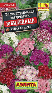 Флокс_Юбилейный см_0,2_г._Аэлита